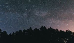 Preview wallpaper starry sky, night, trees, sky