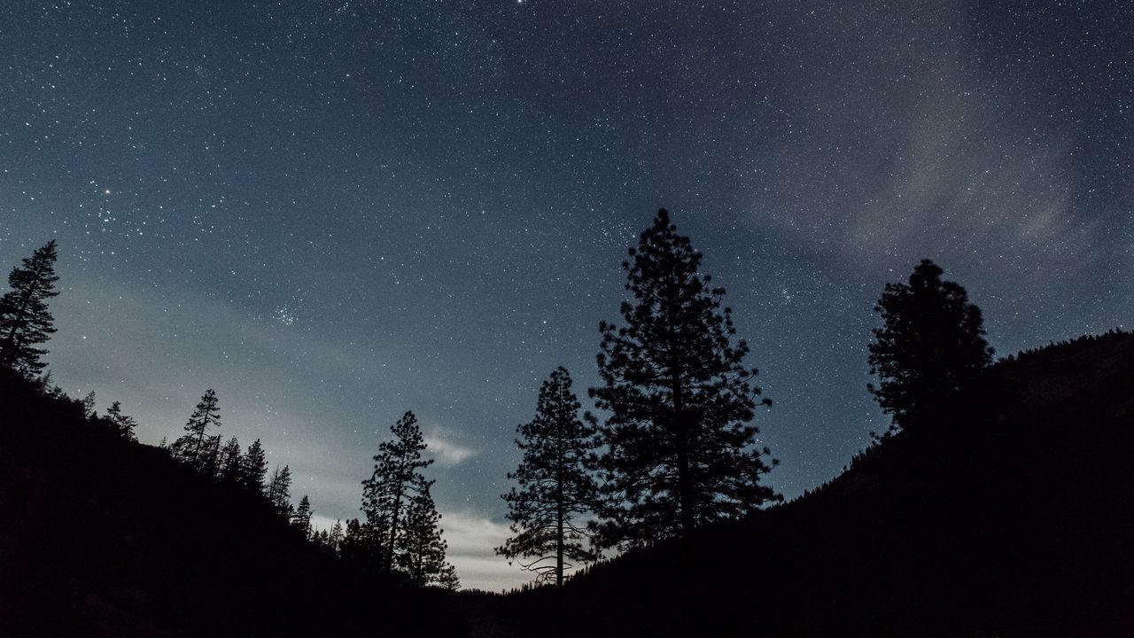 Wallpaper starry sky, night, trees, landscape