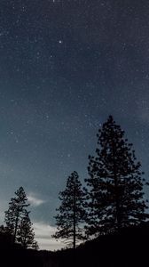 Preview wallpaper starry sky, night, trees, landscape
