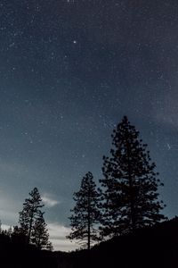 Preview wallpaper starry sky, night, trees, landscape