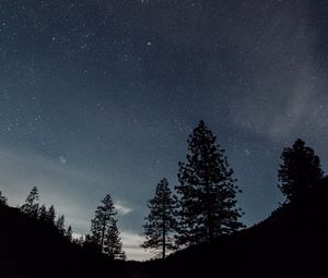 Preview wallpaper starry sky, night, trees, landscape