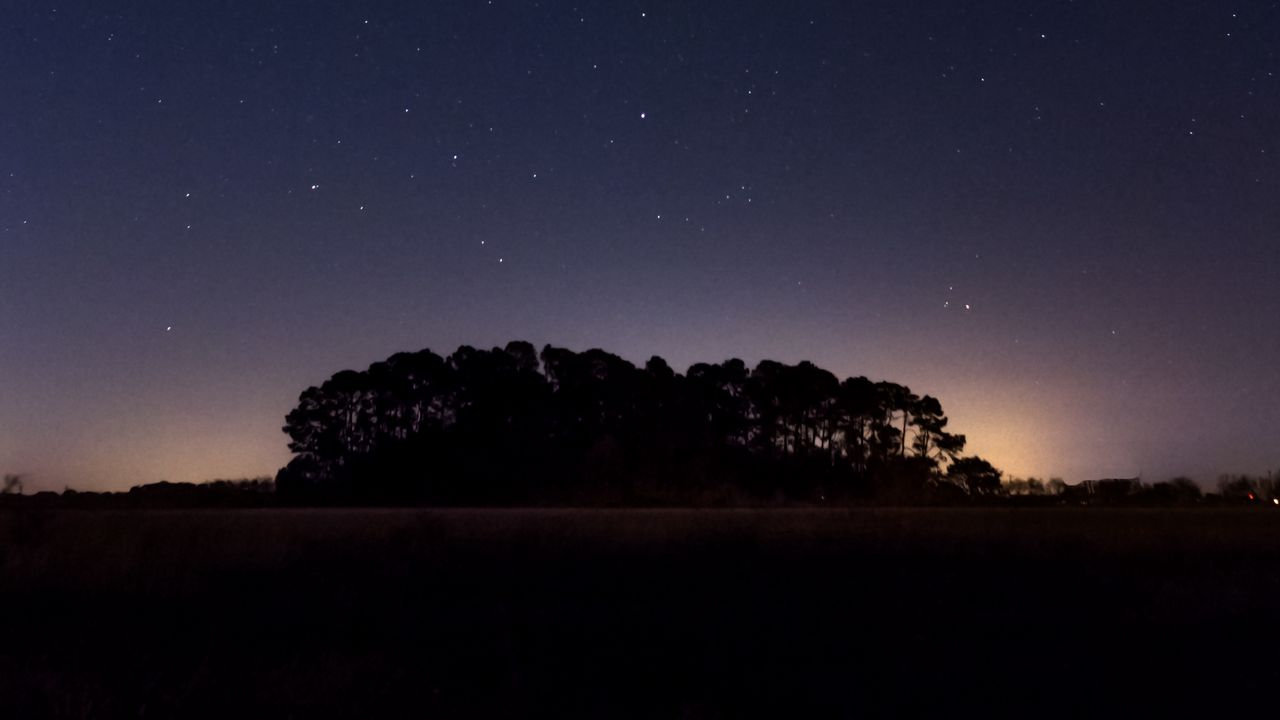 Wallpaper starry sky, night, trees, horizon