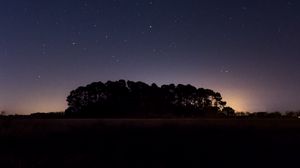 Preview wallpaper starry sky, night, trees, horizon