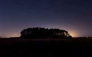 Preview wallpaper starry sky, night, trees, horizon