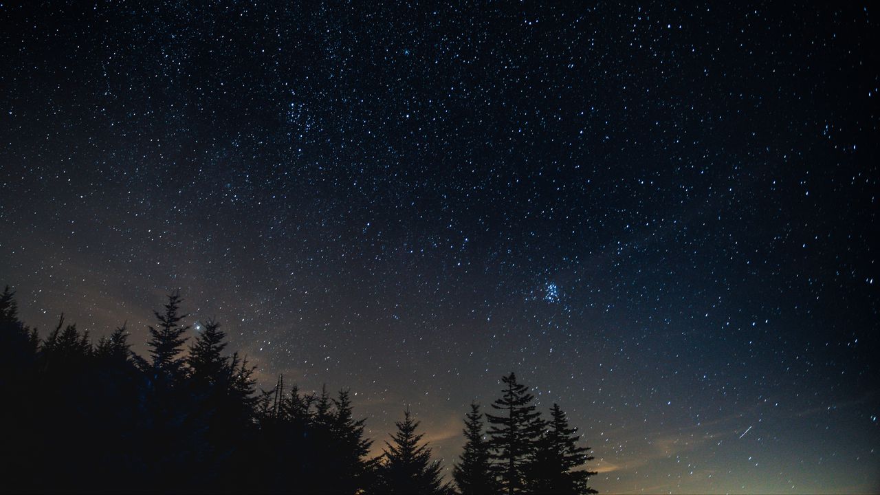 Wallpaper starry sky, night, trees, night landscape