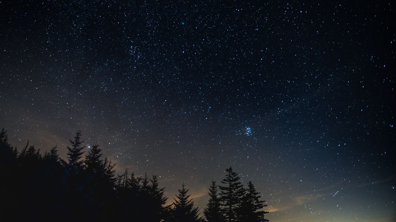 Download wallpaper 1366x768 starry sky, night, trees, night landscape  tablet, laptop hd background