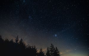 Preview wallpaper starry sky, night, trees, night landscape