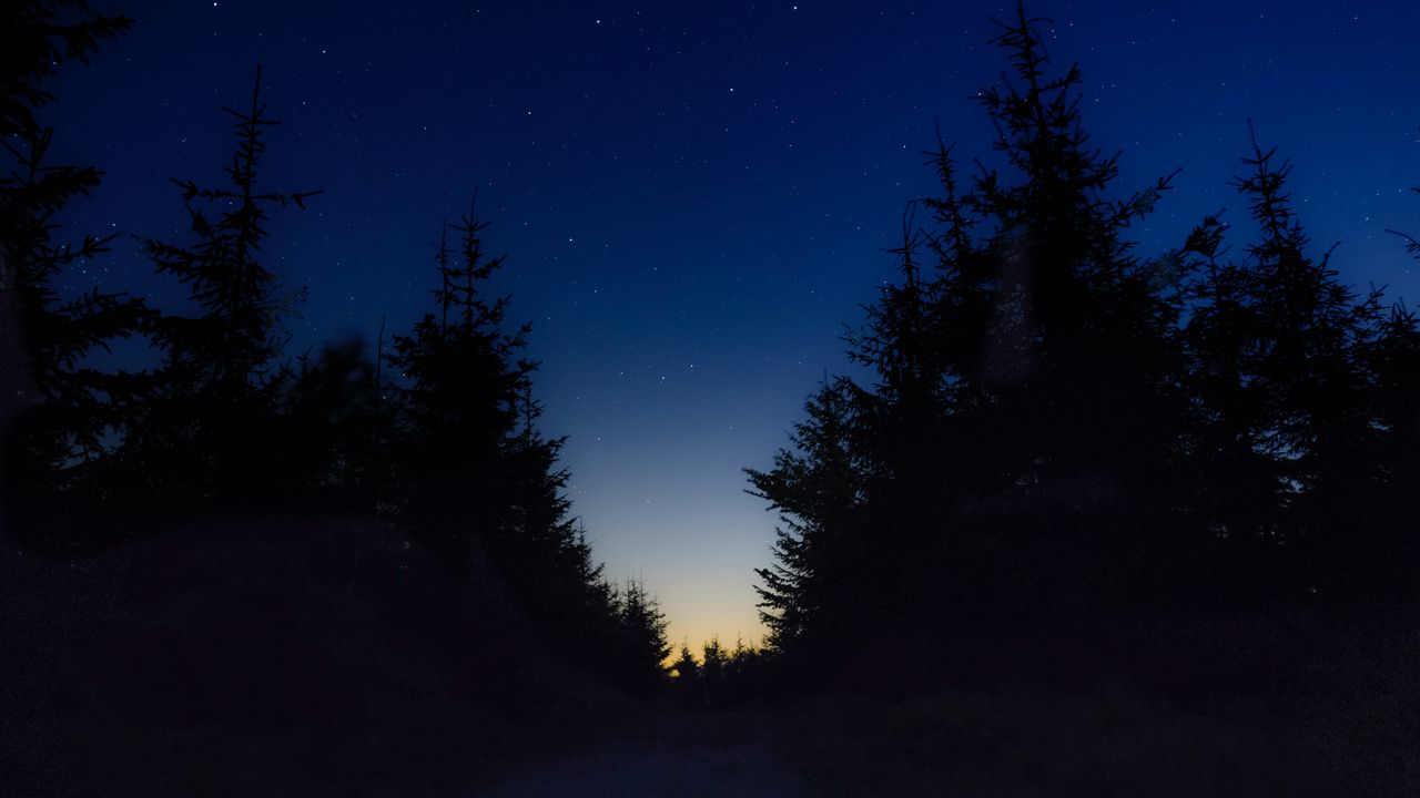 Wallpaper starry sky, night, trees