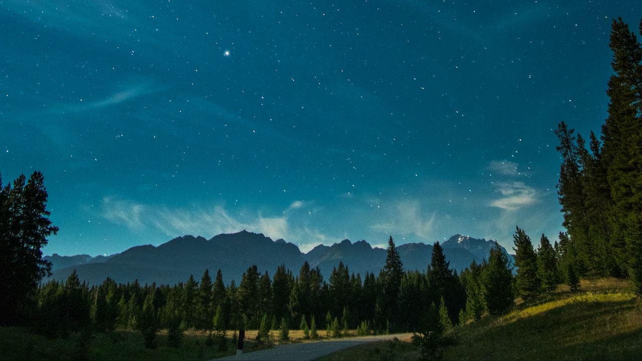 Wallpaper starry sky, night, trees, mountains