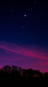 Preview wallpaper starry sky, night, trees, clouds