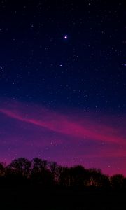 Preview wallpaper starry sky, night, trees, clouds