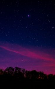 Preview wallpaper starry sky, night, trees, clouds