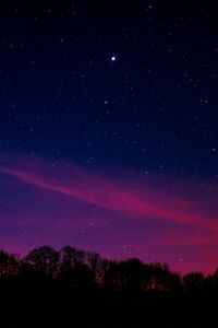 Preview wallpaper starry sky, night, trees, clouds