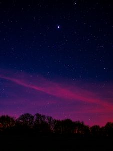 Preview wallpaper starry sky, night, trees, clouds