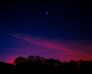 Preview wallpaper starry sky, night, trees, clouds
