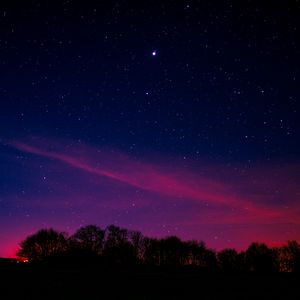 Preview wallpaper starry sky, night, trees, clouds