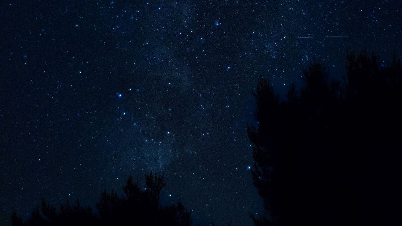 Wallpaper starry sky, night, trees, croatia