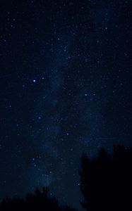 Preview wallpaper starry sky, night, trees, croatia
