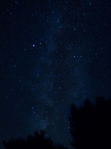 Preview wallpaper starry sky, night, trees, croatia