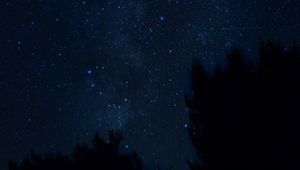 Preview wallpaper starry sky, night, trees, croatia