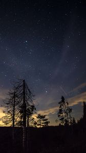 Preview wallpaper starry sky, night, trees, stars, night sky