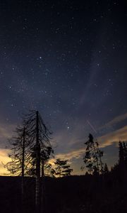 Preview wallpaper starry sky, night, trees, stars, night sky