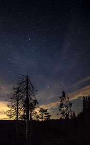 Preview wallpaper starry sky, night, trees, stars, night sky