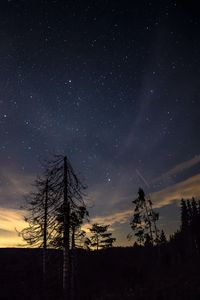 Preview wallpaper starry sky, night, trees, stars, night sky