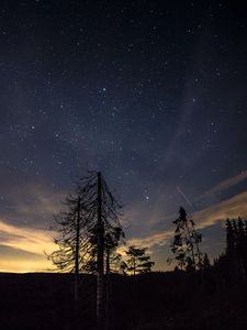 Preview wallpaper starry sky, night, trees, stars, night sky