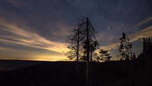 Preview wallpaper starry sky, night, trees, stars, night sky