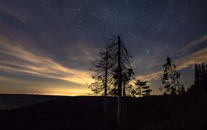 Preview wallpaper starry sky, night, trees, stars, night sky