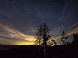 Preview wallpaper starry sky, night, trees, stars, night sky