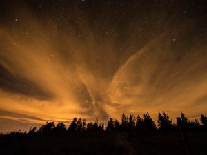 Preview wallpaper starry sky, night, trees, clouds, dark, shine, stars