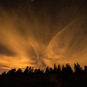 Preview wallpaper starry sky, night, trees, clouds, dark, shine, stars