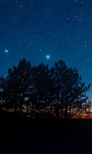 Preview wallpaper starry sky, night, trees, stars, landscape