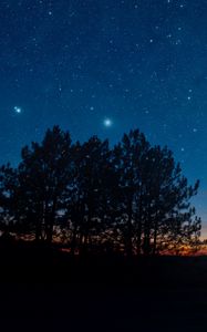 Preview wallpaper starry sky, night, trees, stars, landscape