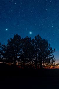 Preview wallpaper starry sky, night, trees, stars, landscape