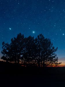 Preview wallpaper starry sky, night, trees, stars, landscape