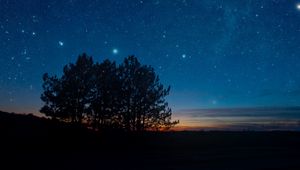 Preview wallpaper starry sky, night, trees, stars, landscape