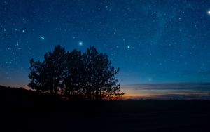 Preview wallpaper starry sky, night, trees, stars, landscape