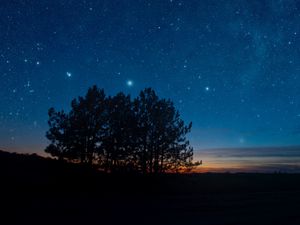 Preview wallpaper starry sky, night, trees, stars, landscape