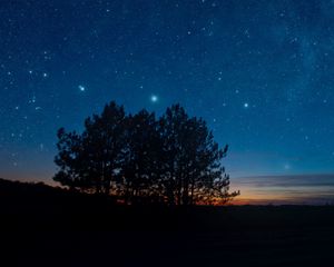 Preview wallpaper starry sky, night, trees, stars, landscape