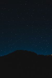 Preview wallpaper starry sky, night, trees, stars, shine, sky