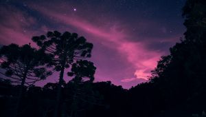 Preview wallpaper starry sky, night, trees, stars, lights