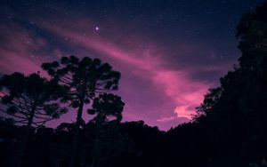 Preview wallpaper starry sky, night, trees, stars, lights
