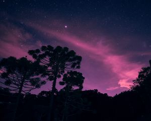 Preview wallpaper starry sky, night, trees, stars, lights