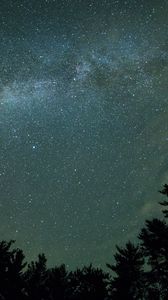 Preview wallpaper starry sky, night, trees, dark, milky way