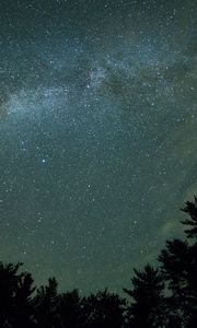 Preview wallpaper starry sky, night, trees, dark, milky way