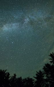 Preview wallpaper starry sky, night, trees, dark, milky way