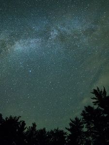 Preview wallpaper starry sky, night, trees, dark, milky way